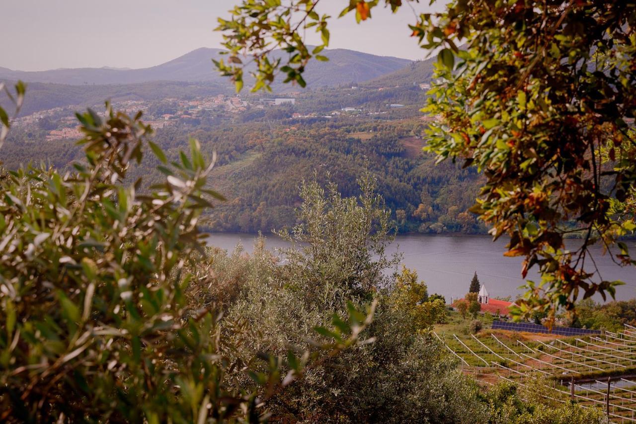 Arrabia Guest Houses Glamping Raiva エクステリア 写真